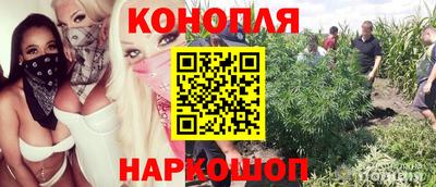 дживик Пенза