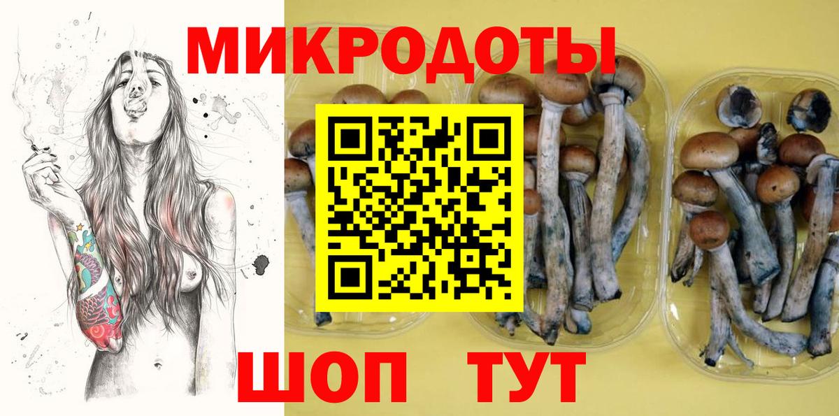 Галлюциногенные грибы MAGIC MUSHROOMS Свободный