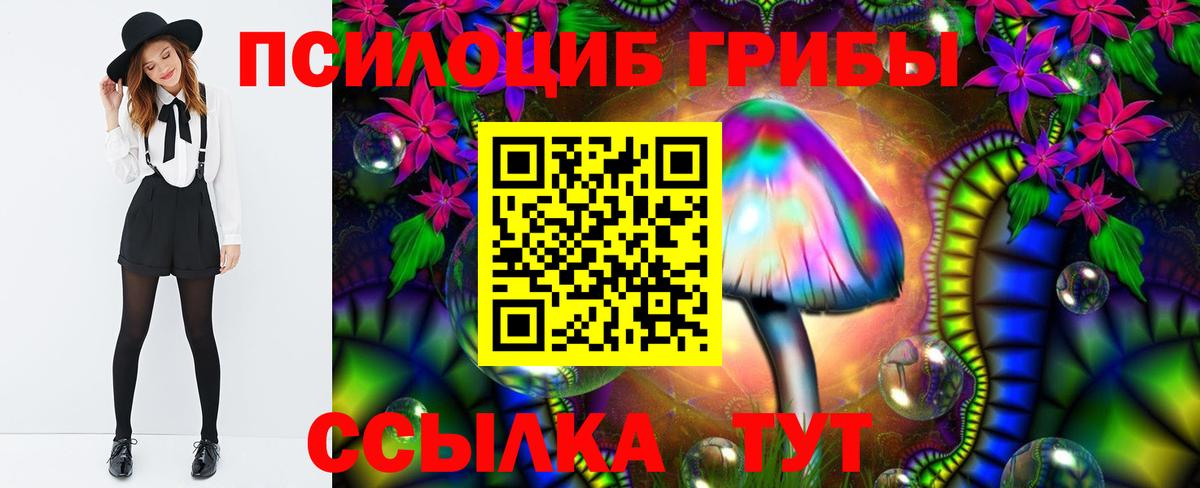 Псилоцибиновые грибы Magic Shrooms  Галлюциногенные грибы Psilocybine cubensis  Вход с VPN  Свободный 
